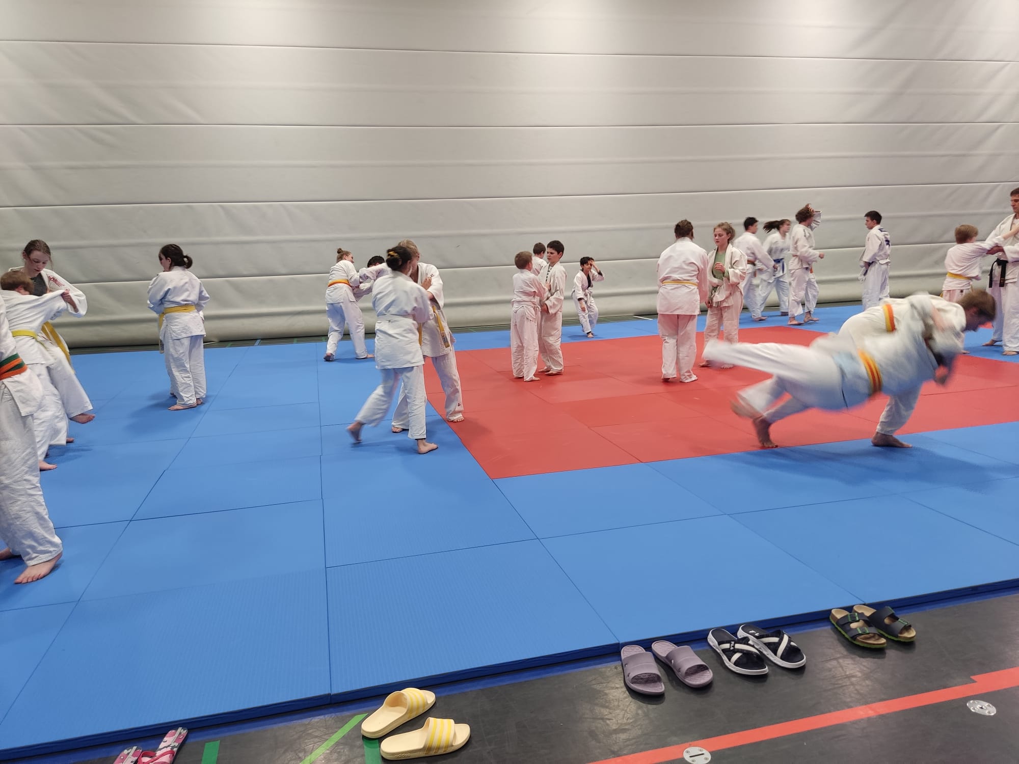 20230303 Randori Bild 1